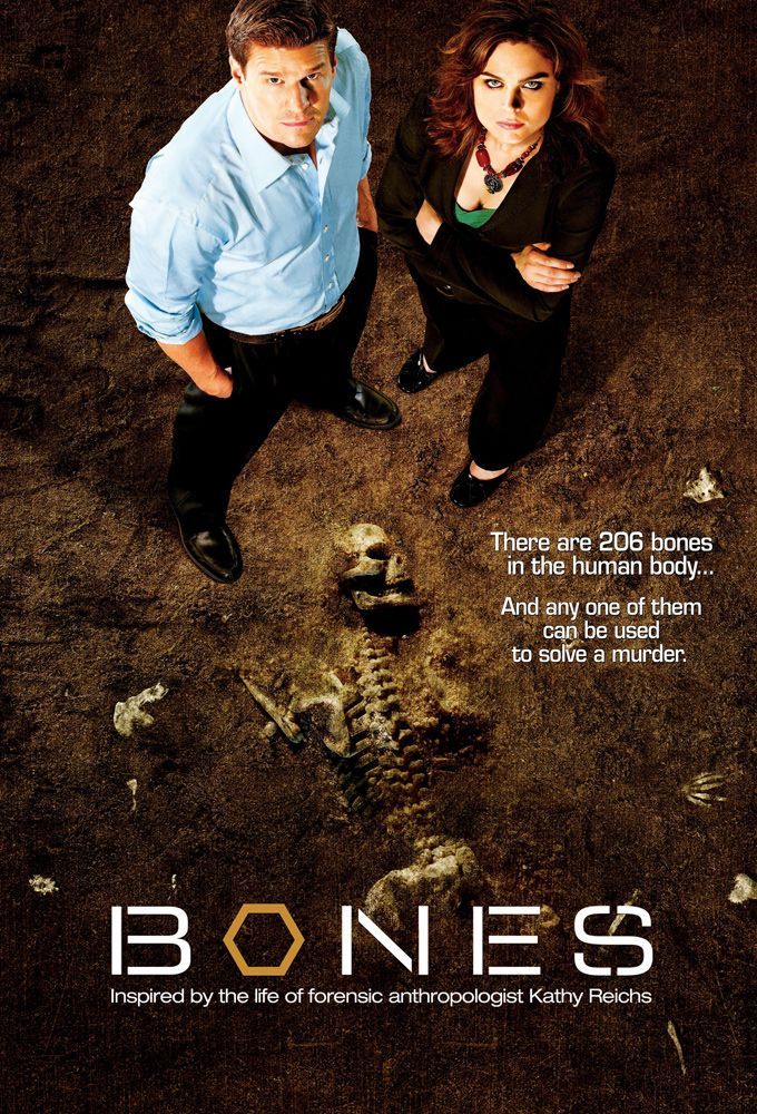 Bones saison 1 poster