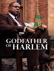 Godfather of Harlem saison 1 poster