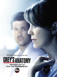 Grey's Anatomy saison 11 poster