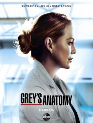 Grey's Anatomy saison 17 poster