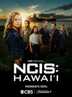 NCIS: Hawai'i saison 2 poster