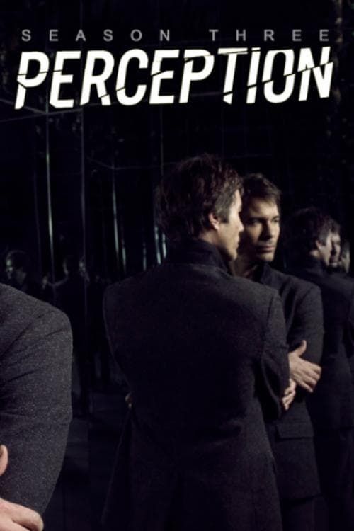 Perception saison 3 poster
