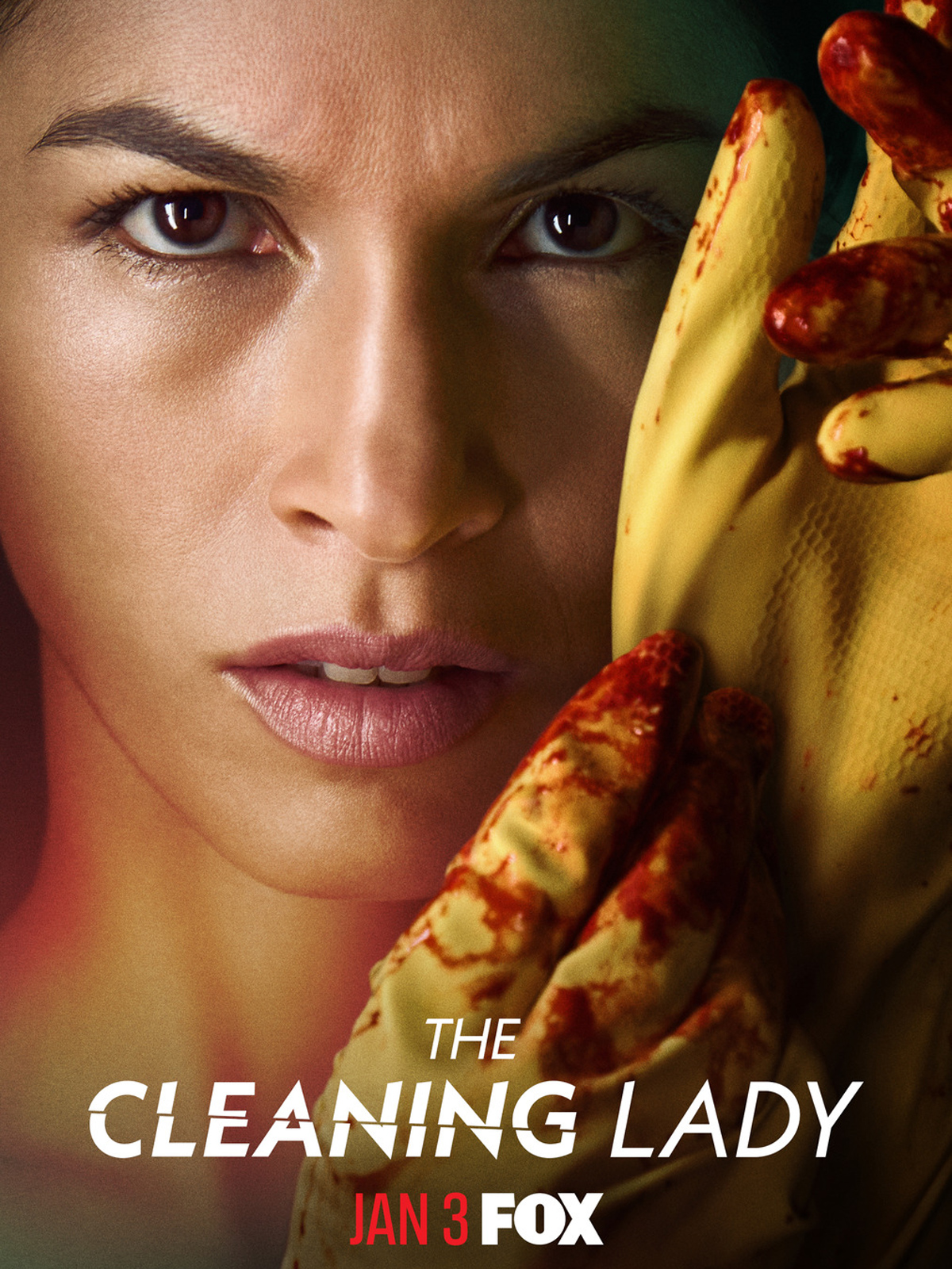 The Cleaning Lady saison 1 poster